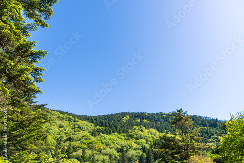 新緑の映える山と青空の風景