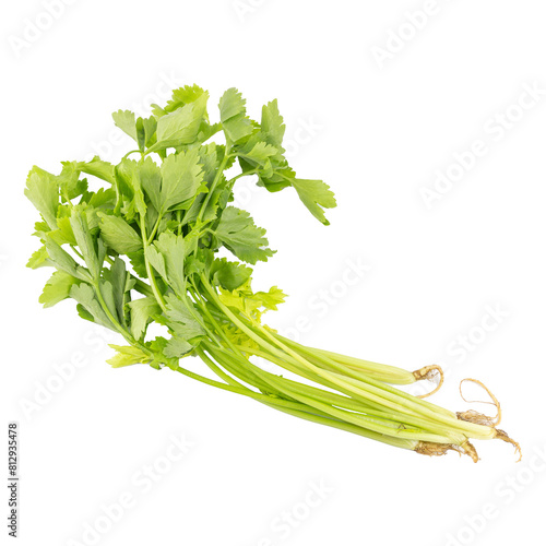 Celery isolated on white background cutout. Fresh celery.