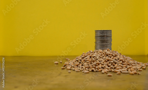 Wheat Seeds. European Union Currency. Golden background. Grain crisis. Copy space. 