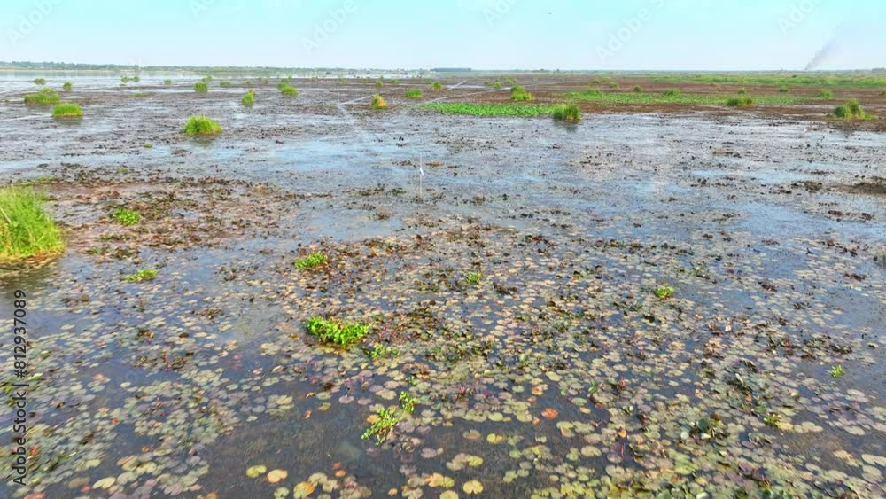 A wetland ecosystem: green clusters amid waterlogged terrain. Biodiversity thrives within, vital for ecological balance. Study unveils intricate web of life sustaining this fragile habitat.
A wetland ecosystem: green clusters amid waterlogged terrain. Biodiversity thrives within, vital for ecological balance. Study unveils intricate web of life sustaining this fragile habitat.