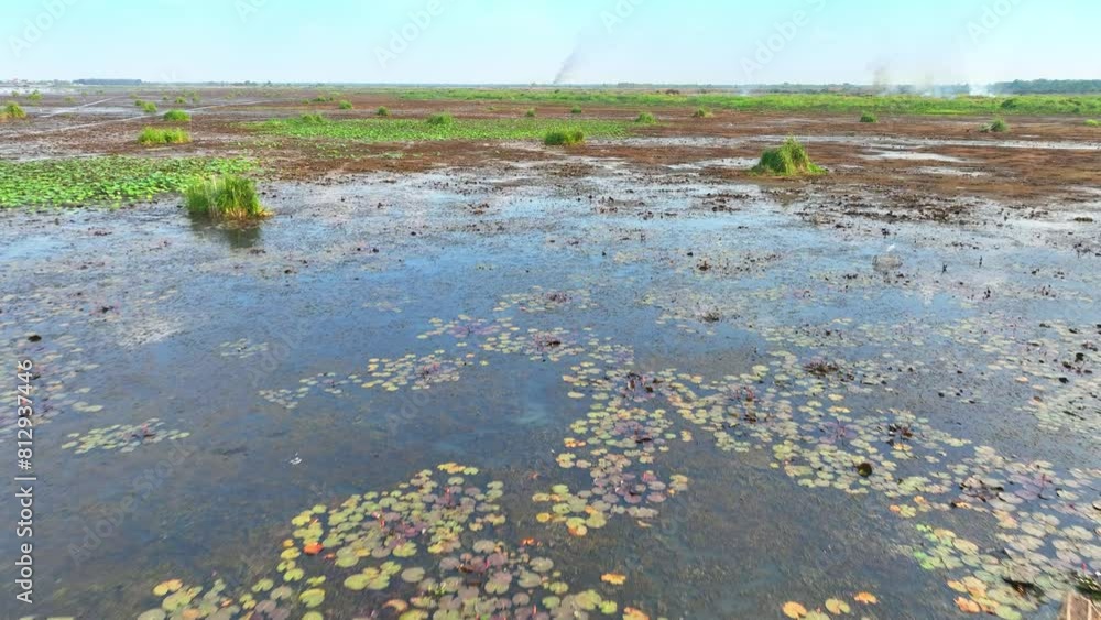 An aerial vista reveals a sparse wetland, patches of greenery dotting muddy expanses. Amidst brown terrain, this ecosystem teems with biodiversity, a delicate balance of life and waterlogged earth.
An aerial vista reveals a sparse wetland, patches of greenery dotting muddy expanses. Amidst brown terrain, this ecosystem teems with biodiversity, a delicate balance of life and waterlogged earth.