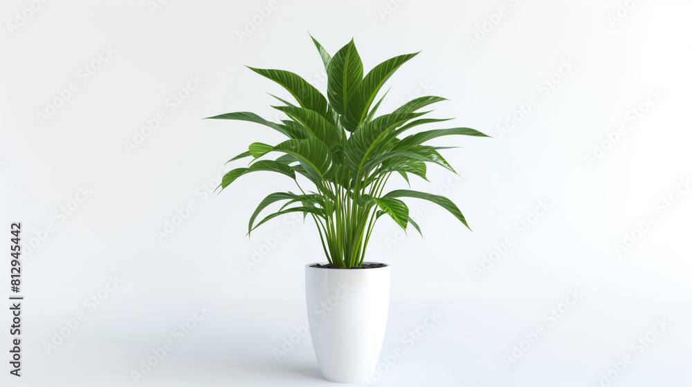 3D office plant, isolated, shining, high quality 3D office plant, isolated, shining, high quality