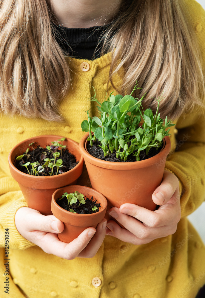 Littlr Girl Holding Three Potted Plants Littlr Girl Holding Three Potted Plants