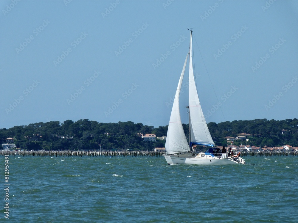 Obraz premium sailboat on the sea