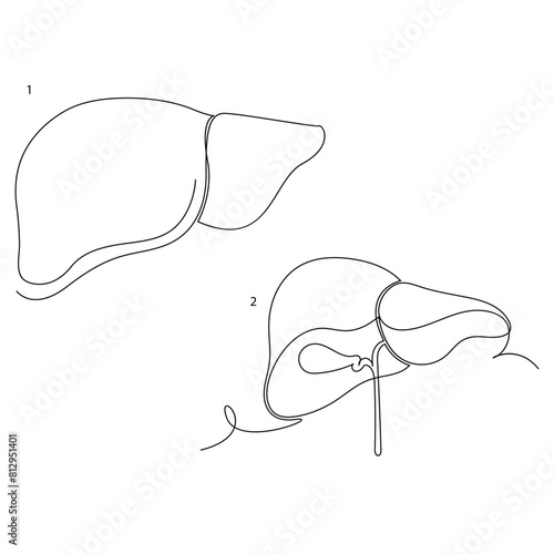 Human healthy liver in one line art continuous line illustration vector design