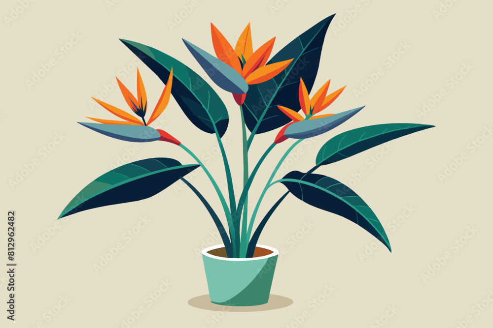 A potted Strelitzia plant with vibrant orange and green flowers blooming, Strelitzia plant Customizable Flat Illustration A potted Strelitzia plant with vibrant orange and green flowers blooming, Strelitzia plant Customizable Flat Illustration