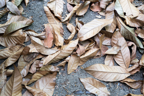 A pile of brown leaves on a gray surface