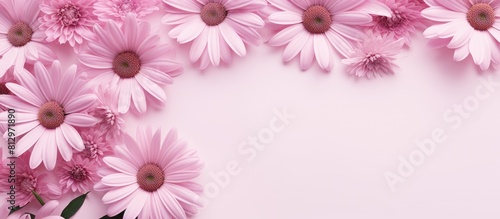 A frame background in pastel pink featuring daisy flowers and leaves in a flat lay arrangement Perfect for spring or summer social media mockups with available copy space