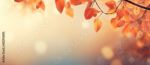 A fall themed background with orange leaves perfect for conveying the essence of autumn Offers plenty of copy space for your needs