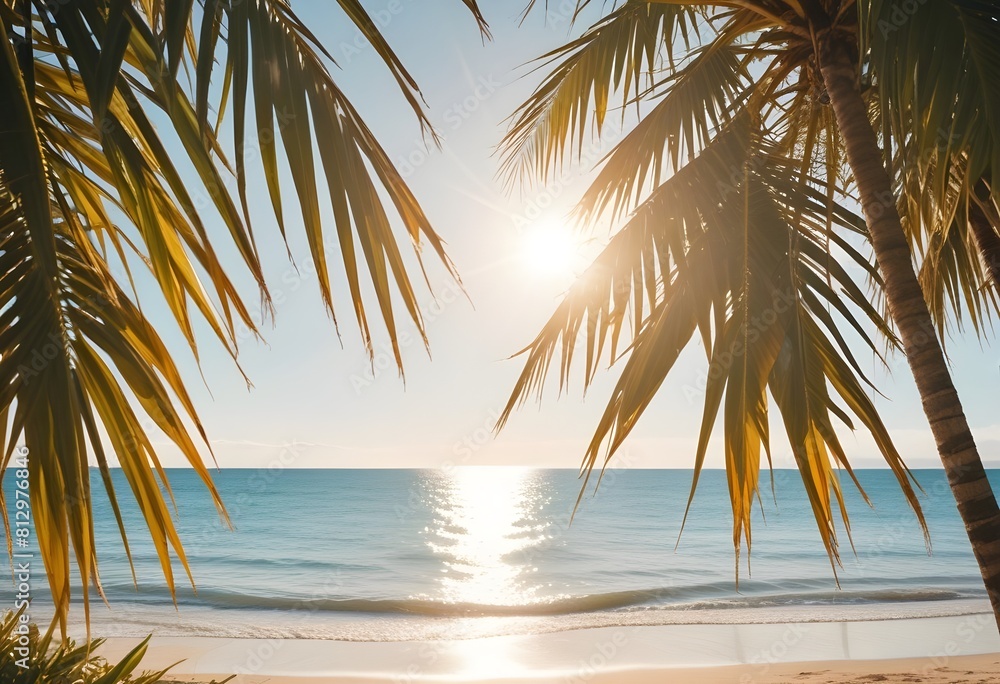 Fototapeta premium summer season theme with leafs of palm trees covered with shiny sun at beach behind Beach and Sea season theme