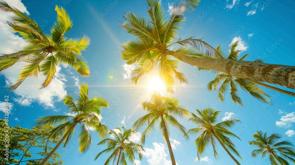 Sun shining through the coconut trees , blue sky and white clouds