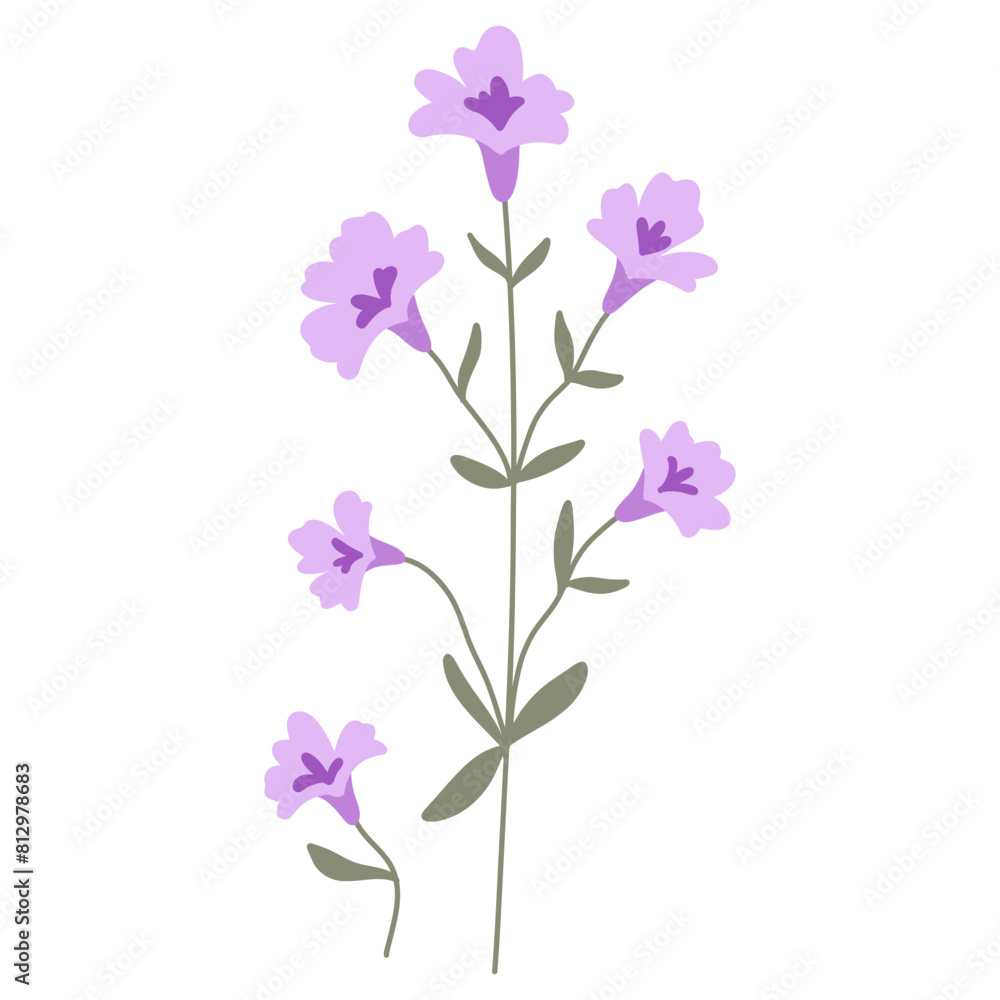 Flower. Wildflower branch. Spring summer delicate fragile flora. Floral flat hand drawn vector illustration on white background