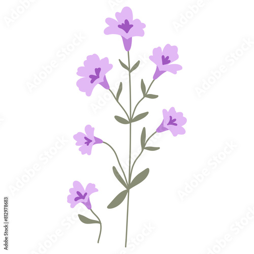 Flower. Wildflower branch. Spring summer delicate fragile flora. Floral flat hand drawn vector illustration on white background