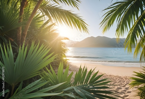 summer season theme with leafs of palm trees covered with shiny sun at beach behind Beach and Sea  season theme