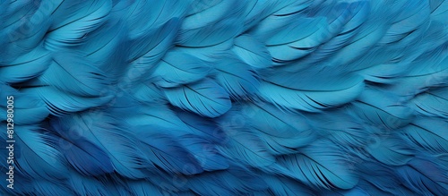Texture background with a blue color chicken feather pattern allowing for copy space image © StockKing