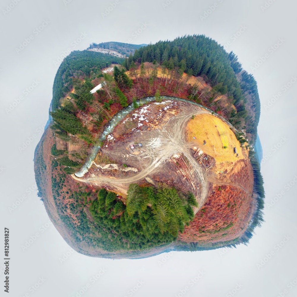 Carpathian forest clearing and an all-terrain vehicle tractor