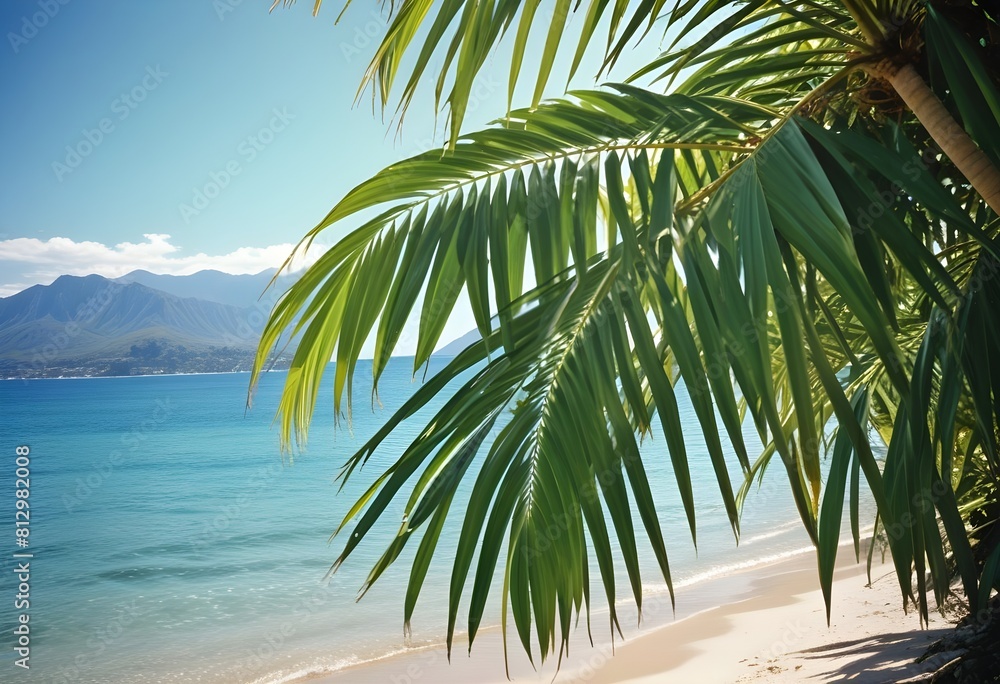 Fototapeta premium summer season theme with leafs of palm trees covered with shiny sun at beach behind Beach and Sea season theme