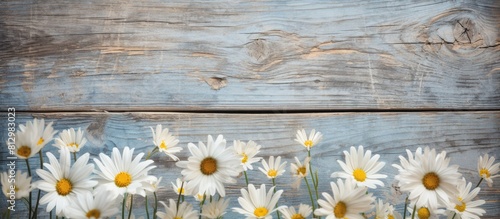 Weathered wood background with daisy flowers providing a beautiful copy space image © StockKing
