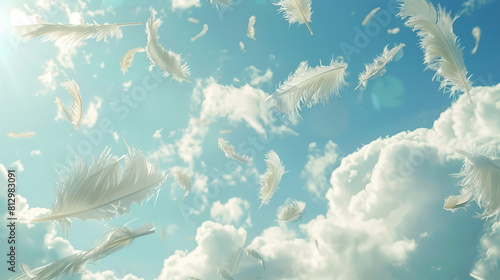 Abstract White Bird Feathers Falling in The Sky. Feathers Floating in Heavenly. 