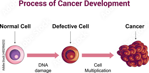 Process of Cancer Cell Development Science Diagram vector illustration