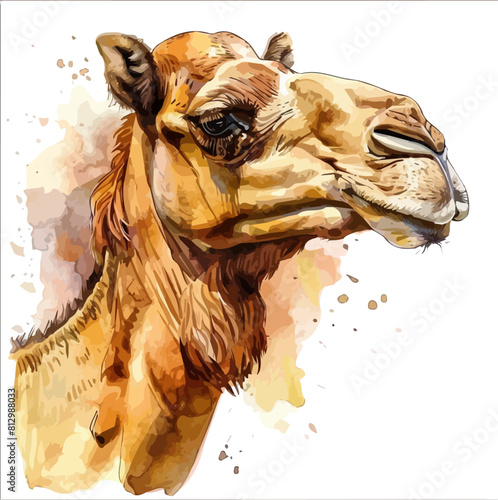 Watercolor painting of a camel, isolated on a white background, camel vector, drawing clipart, Illustration Vector, Graphic Painting, design art, logo