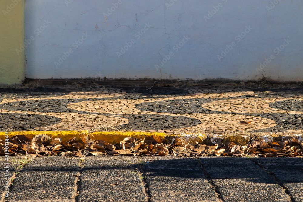 Obraz premium Dry leaves from a tree fallen next to the gutter of a sidewalk in the center of the city in Brazil