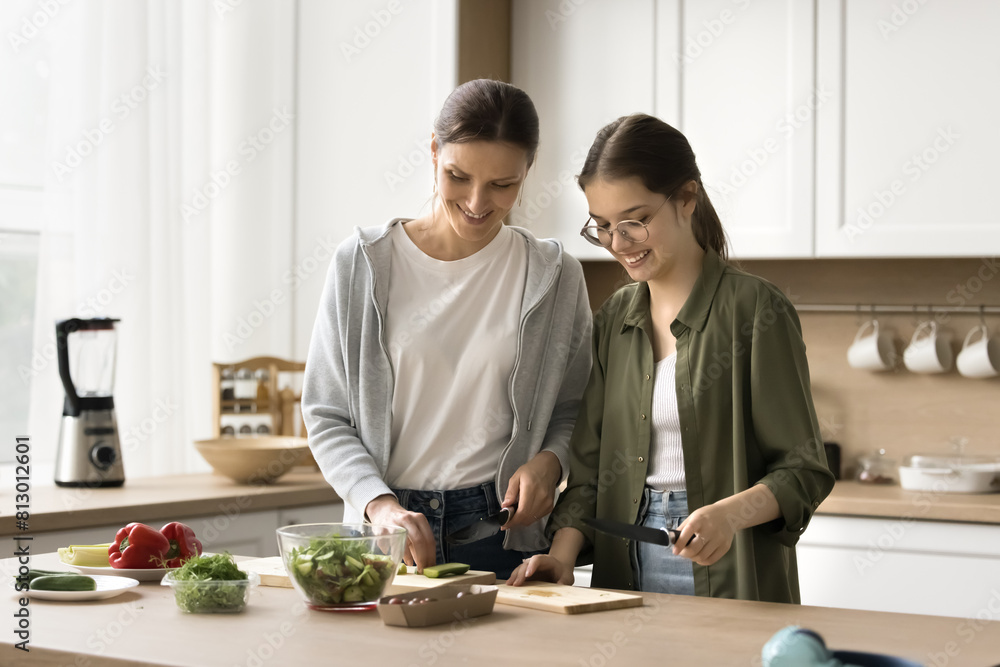 Happy mother teaching teen girl to cook homemade healthy meal, preparing salad, cutting fresh cucumber, raw vegetables, smiling, laughing, Teenager kid helping mom with household chores Happy mother teaching teen girl to cook homemade healthy meal, preparing salad, cutting fresh cucumber, raw vegetables, smiling, laughing, Teenager kid helping mom with household chores