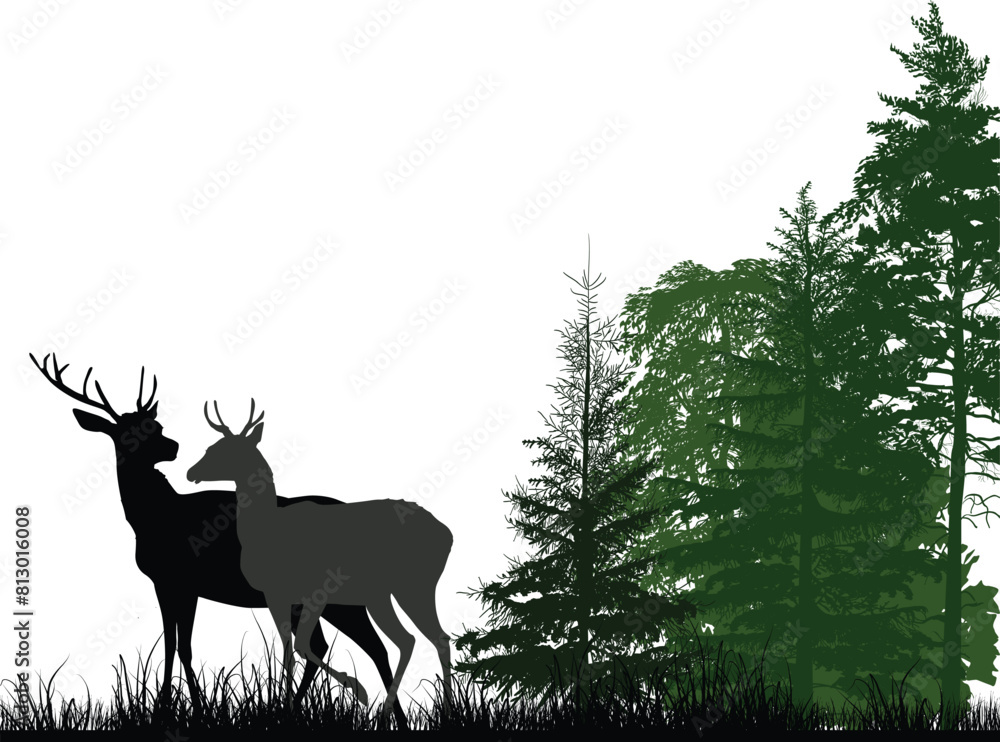 Fototapeta premium two large deers near green forest