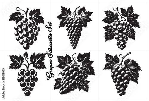  Silhouette  Grapes vector set 