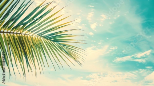 tropical beach and nature green palm leaf with blue sky white cloud abstract background. Copy space of summer vacation and business travel concept. Vintage tone filter color style. summer day