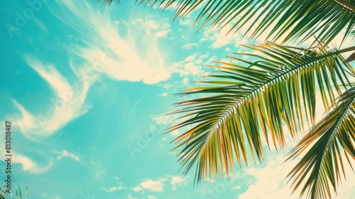 tropical beach and nature green palm leaf with blue sky white cloud abstract background. Copy space of summer vacation and business travel concept. Vintage tone filter color style. summer day © Otseira