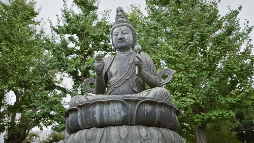Seated buddha statue in tranquil meditation pose, enveloped by lush green trees, symbolizing peace and spirituality.