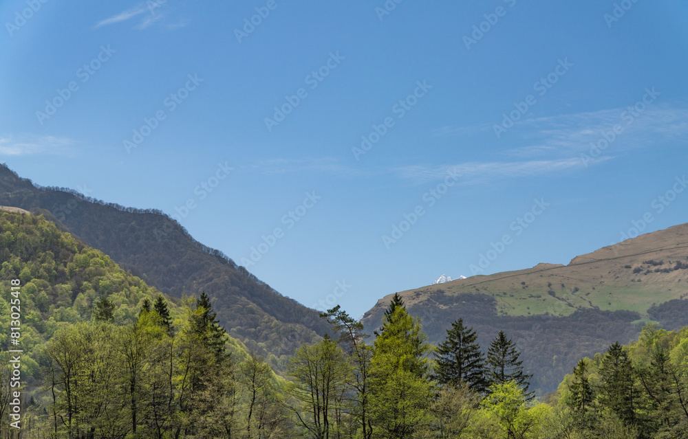 Fototapeta premium landscape in the mountains
