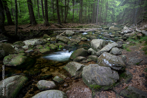 Potok Kamienna, Szklarska Poręba