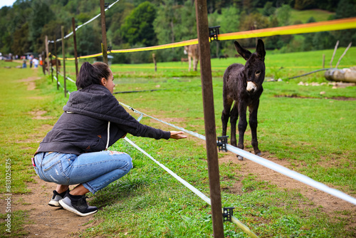 A girl feeding a donkey at Luka plna syslov photo