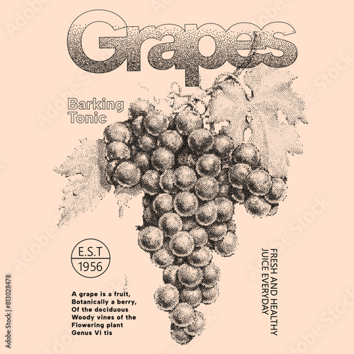 Vector background with hand drawn sketch illustration of grapes, Typography posters design. Simple pencil drawing. Print, banner, label, cover or t-shirt