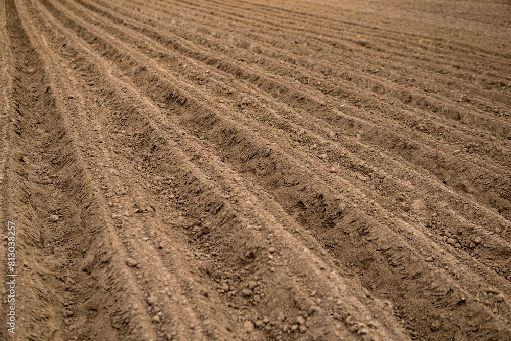 Empty plowed field at the beginning of spring season Empty plowed field at the beginning of spring season