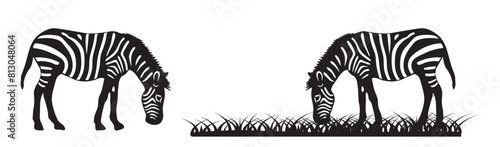 Silhouette set of zebra vector illustration