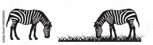 Photography Silhouette set of zebra vector illustration