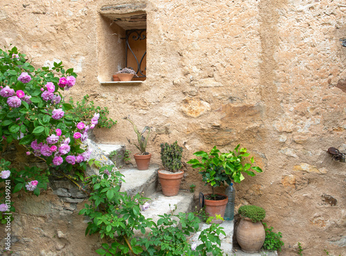 old facade of  provencal house with plante growing on a rocky stairs