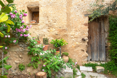 old facade of  provencal house with plante growing on a rocky stairs