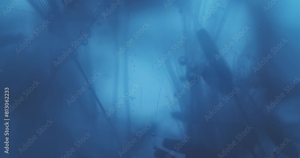 Floral Abstract Composition Submerged in Cyan Liquid Floral Abstract Composition Submerged in Cyan Liquid