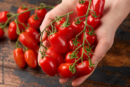Delicious mini San Marzano tomatoes in woman hands