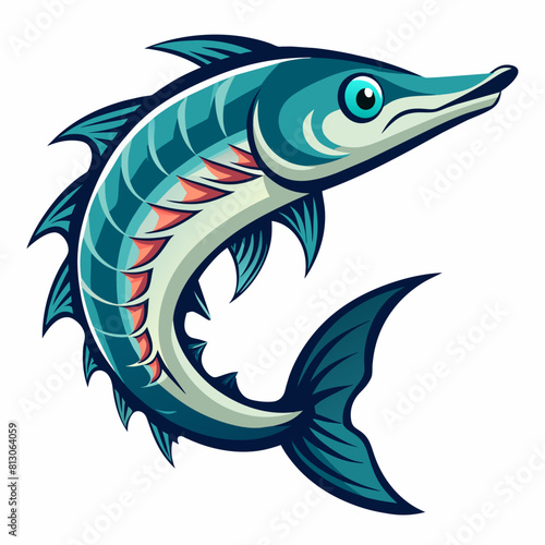  vector illustration of a Barracuda with white background 