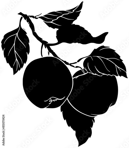 apple illustration fruit silhouette food logo tree icon red outline oak bitten education slice branch organic harvest nature agriculture shape ripe leaf garden for vector graphic background
