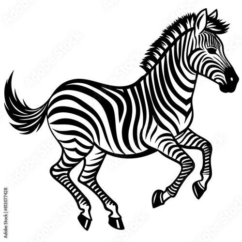 zebra-is-running