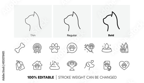 Dog care, veterinary and cat food. Pets line icons set. Lovely animals, shampoo for pets and doghouse icons. Vaccine, pet care and dog paw. Winner cup, certificate and medal. Animal feces. Vector