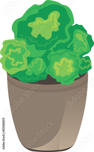 A green plant in pot, flowerpot illustrationГрафика и иллюстрации