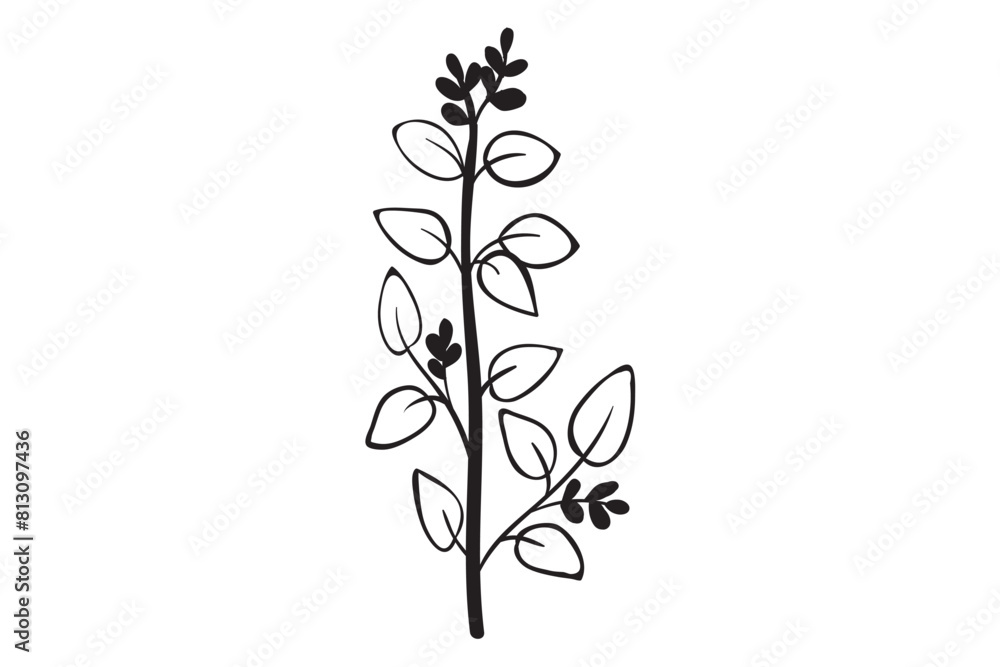 Leaves bundle SVG, greenery floral leaf svg, floral divider svg, leaves svg, leaf svg, decorative border svg, frame svg, text divider svg, border svg, greenery vines bundle Leaves bundle SVG, greenery floral leaf svg, floral divider svg, leaves svg, leaf svg, decorative border svg, frame svg, text divider svg, border svg, greenery vines bundle