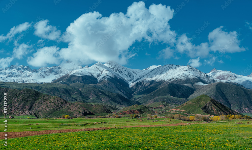 Naklejka premium Picturesque mountain valley with flowering meadow in springtime